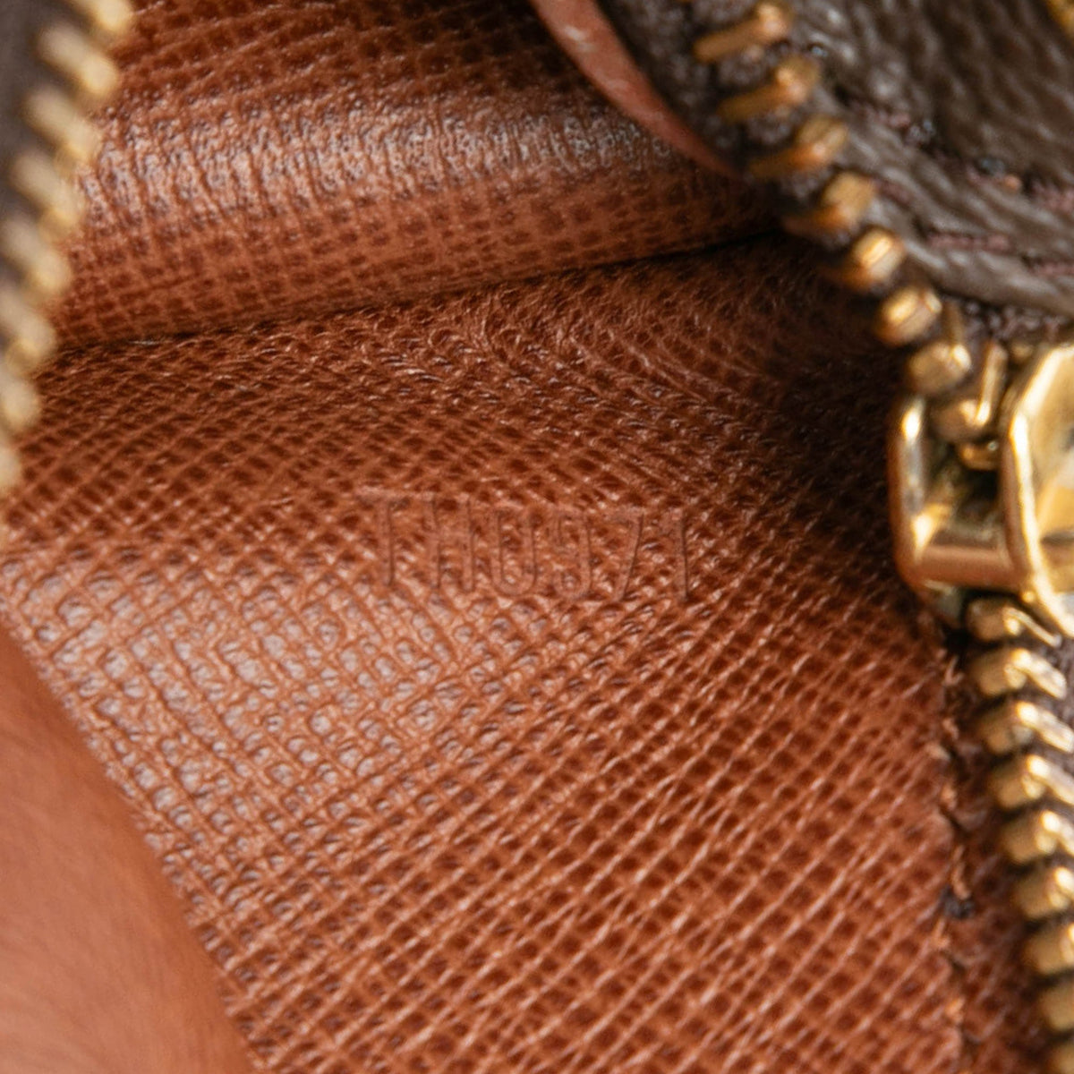 Papillon Handbag Monogram Canvas 30