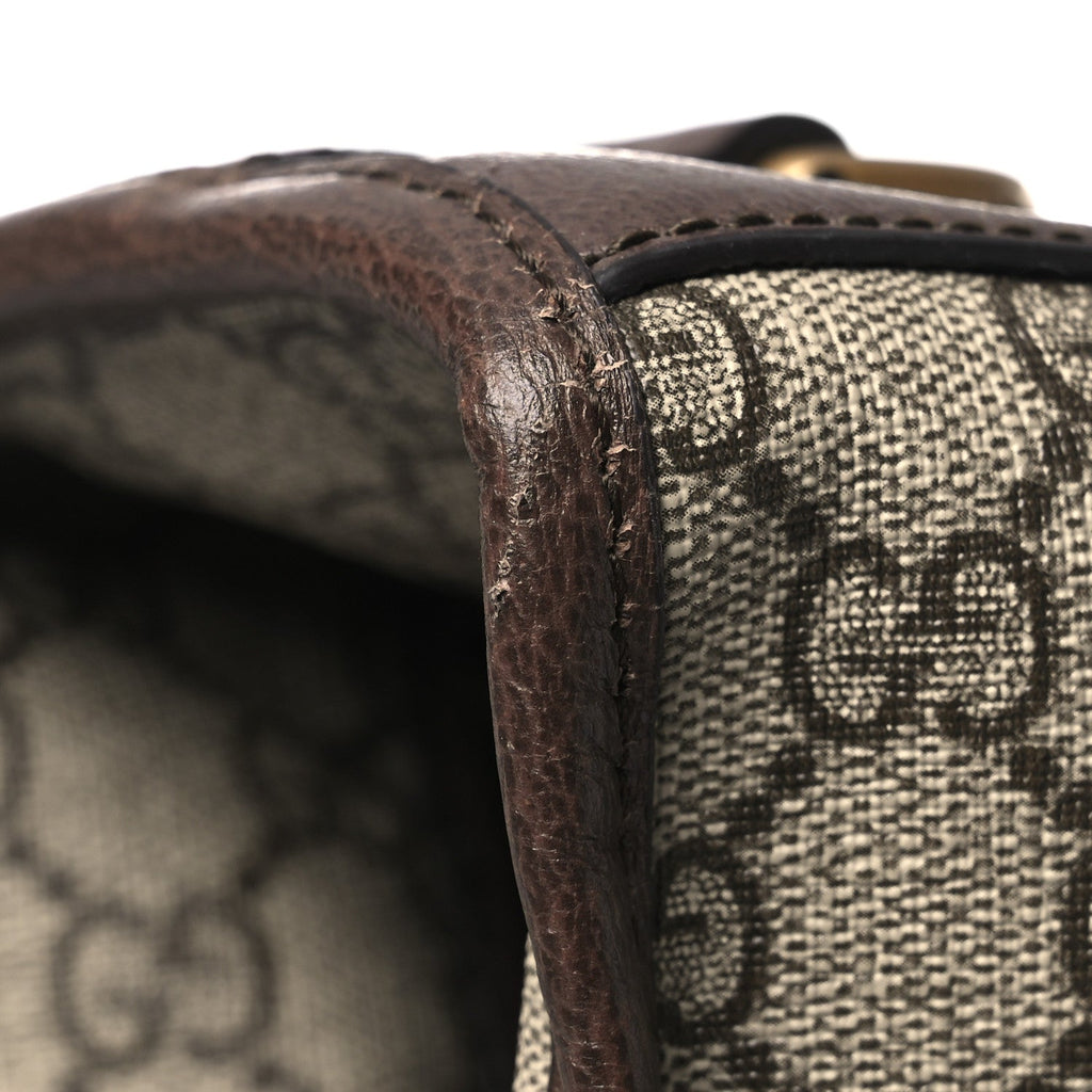 GG Supreme Monogram Textured Dollar Calfskin Web Ophidia Savoy Garment Bag Beige Ebony New Acero