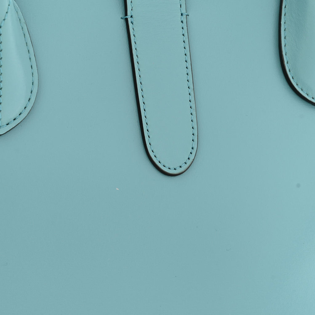 Boarded Plutone Calfskin Medium Jackie 1961 Tote Dusty Azure