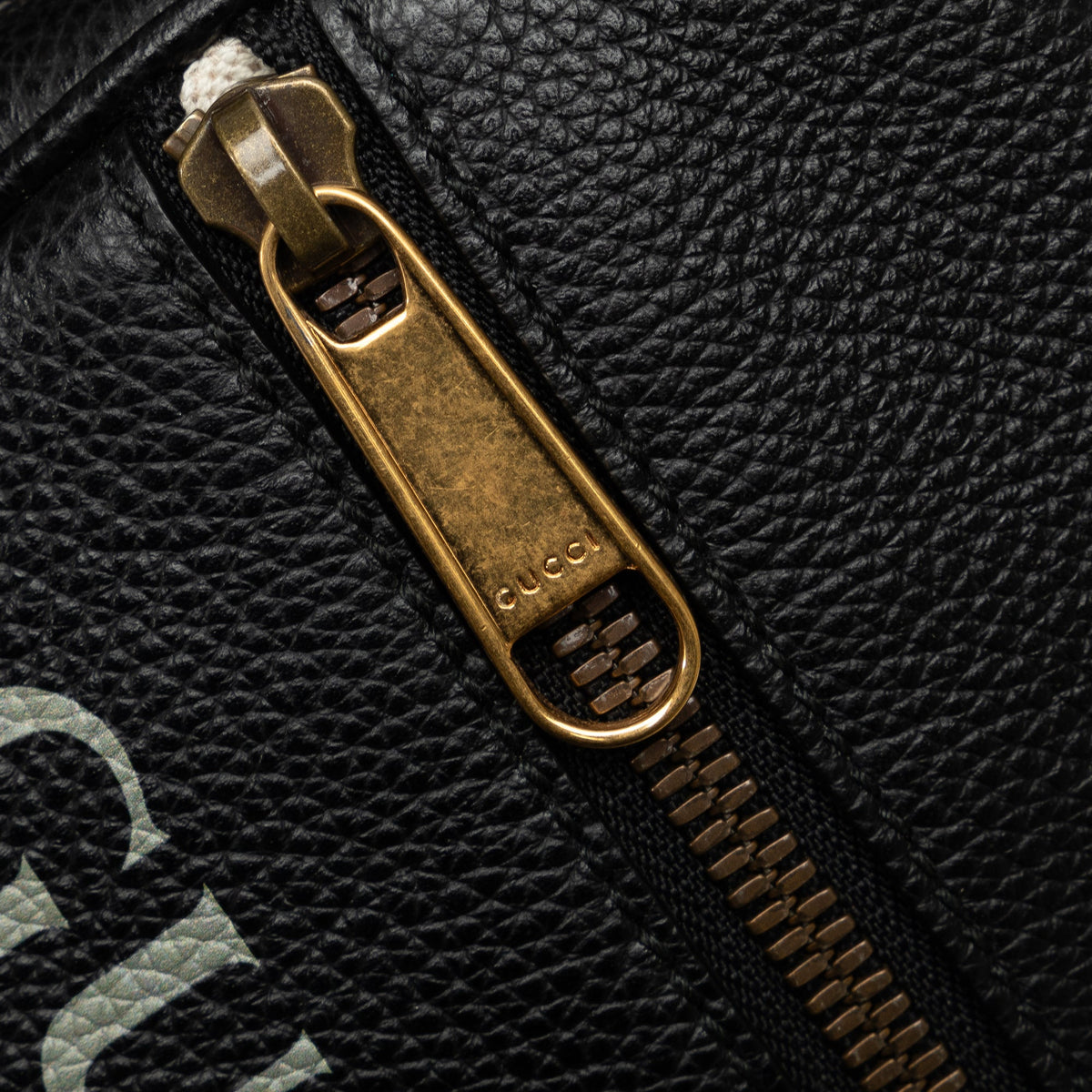 Logo Zip Messenger Bag Printed Leather Mini