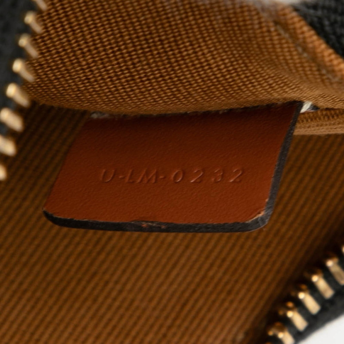 Ava Bag Triomphe Coated Canvas