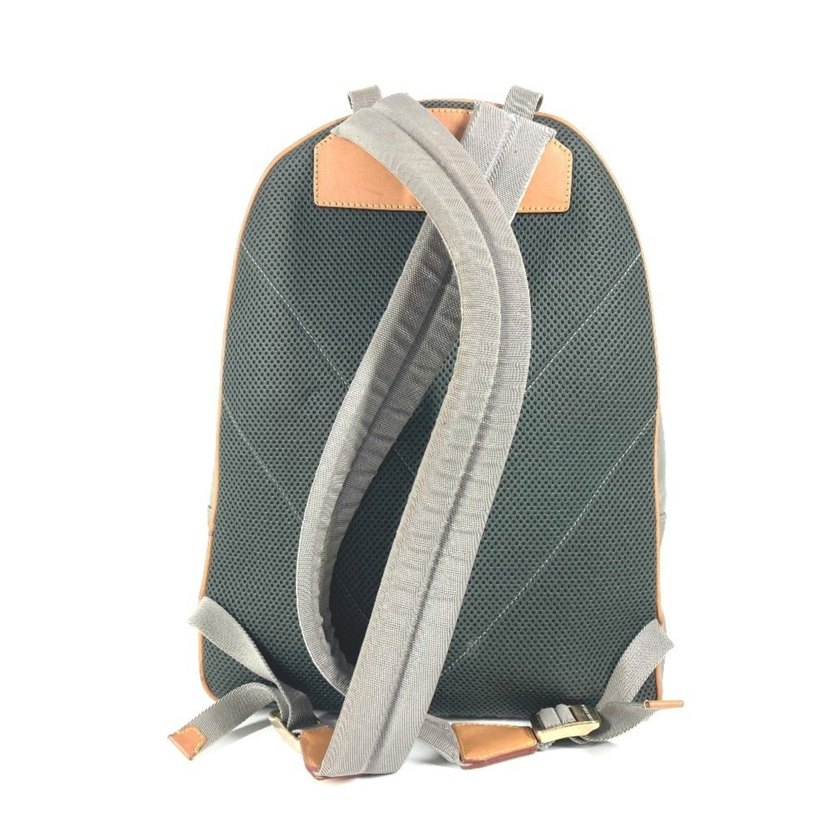 Backpack Limited Edition Titanium Monogram Canvas PM