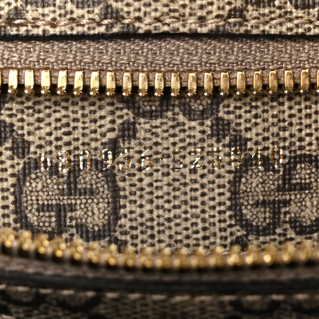 GG Supreme Monogram Exquisite Small Tote Beige Ebony Blue Crop Live Red