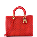 Lady Dior Bag Laser Cut Leather Large