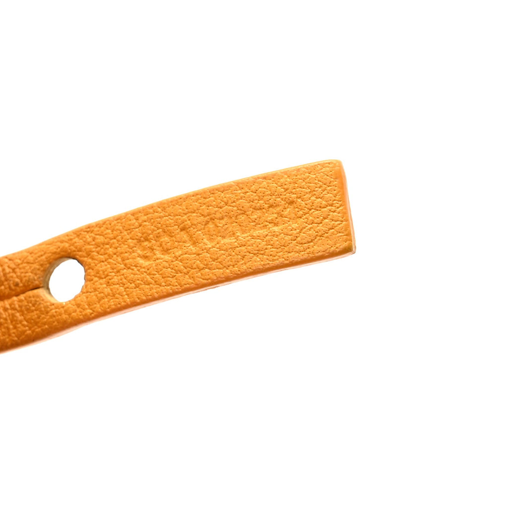 Goyardine Reversible Mini Anjou Yellow