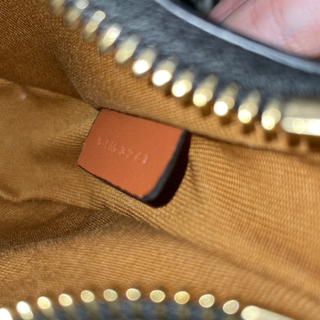 Ava Bag Triomphe Coated Canvas Mini