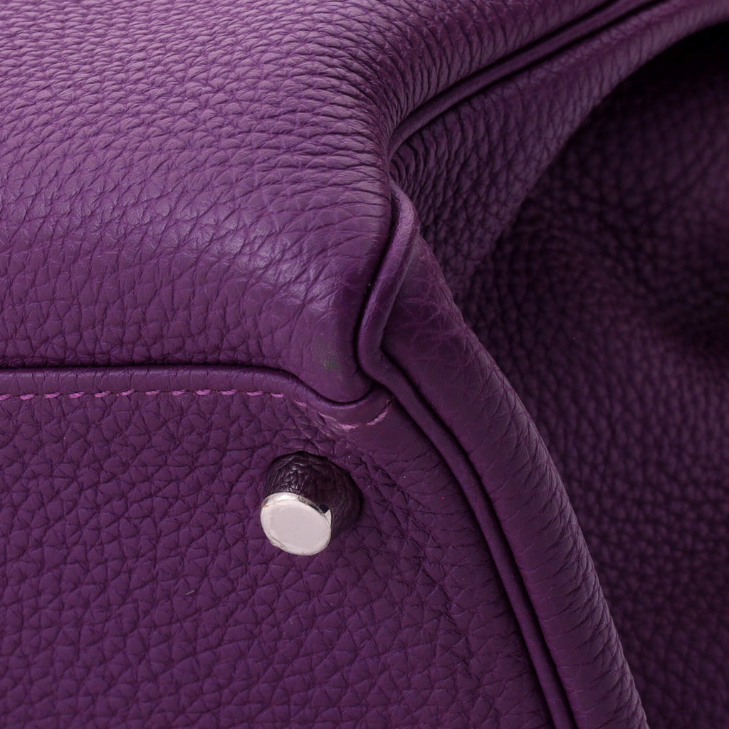 Kelly Handbag Anemone Togo with Palladium Hardware 32
