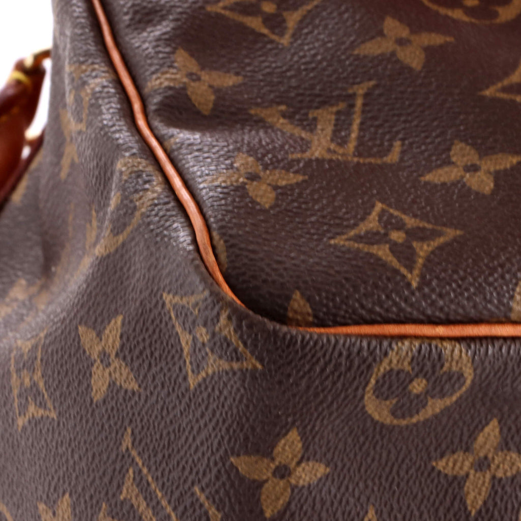 Speedy Handbag Monogram Canvas 25