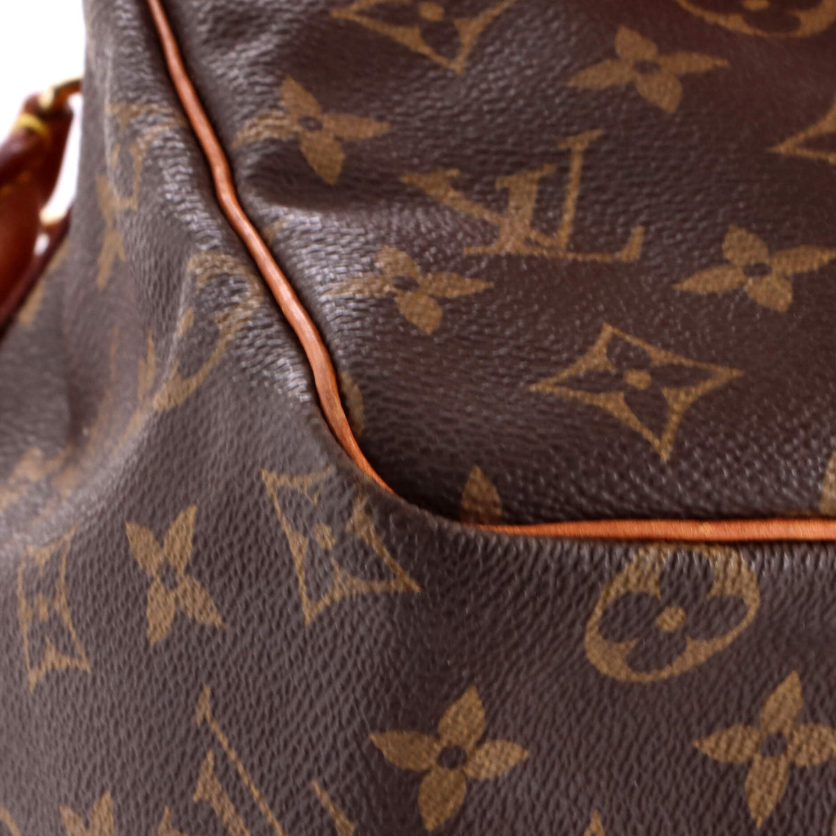 Speedy Handbag Monogram Canvas 25