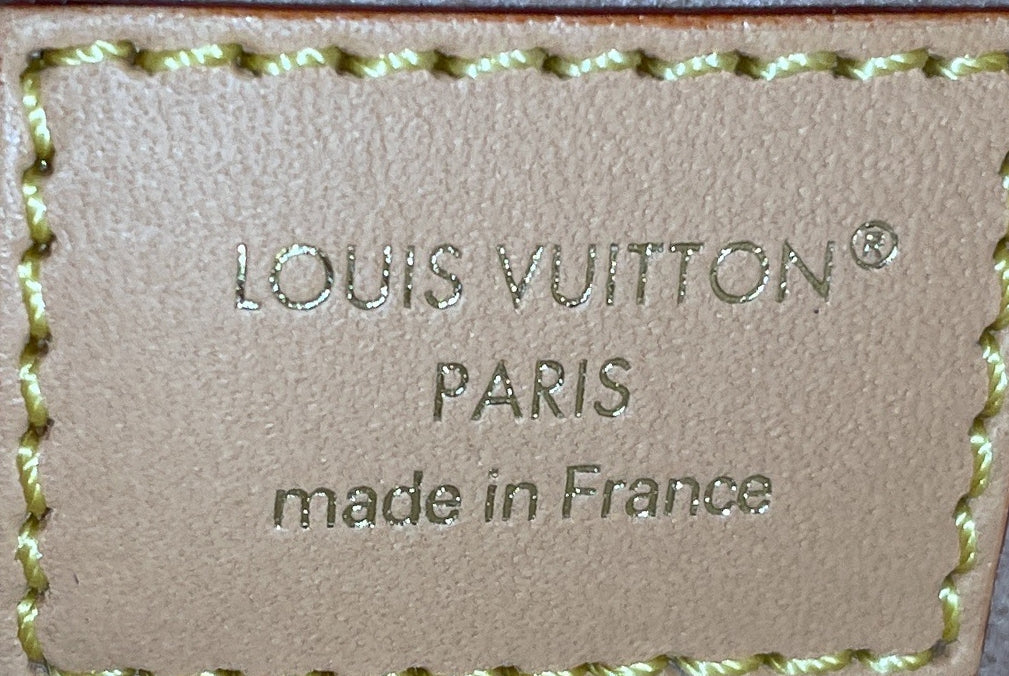 Side Trunk Handbag Monogram Dune Canvas PM