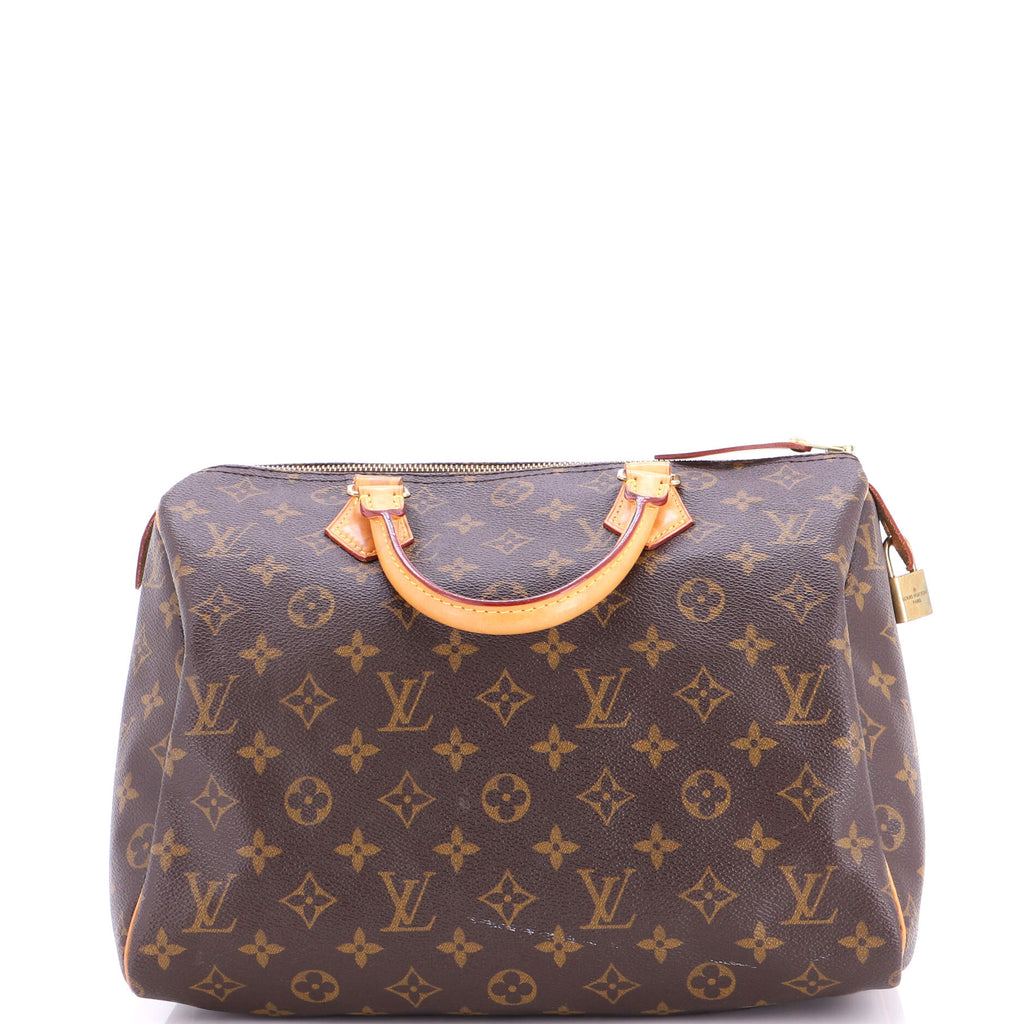 Speedy Handbag Monogram Canvas 30