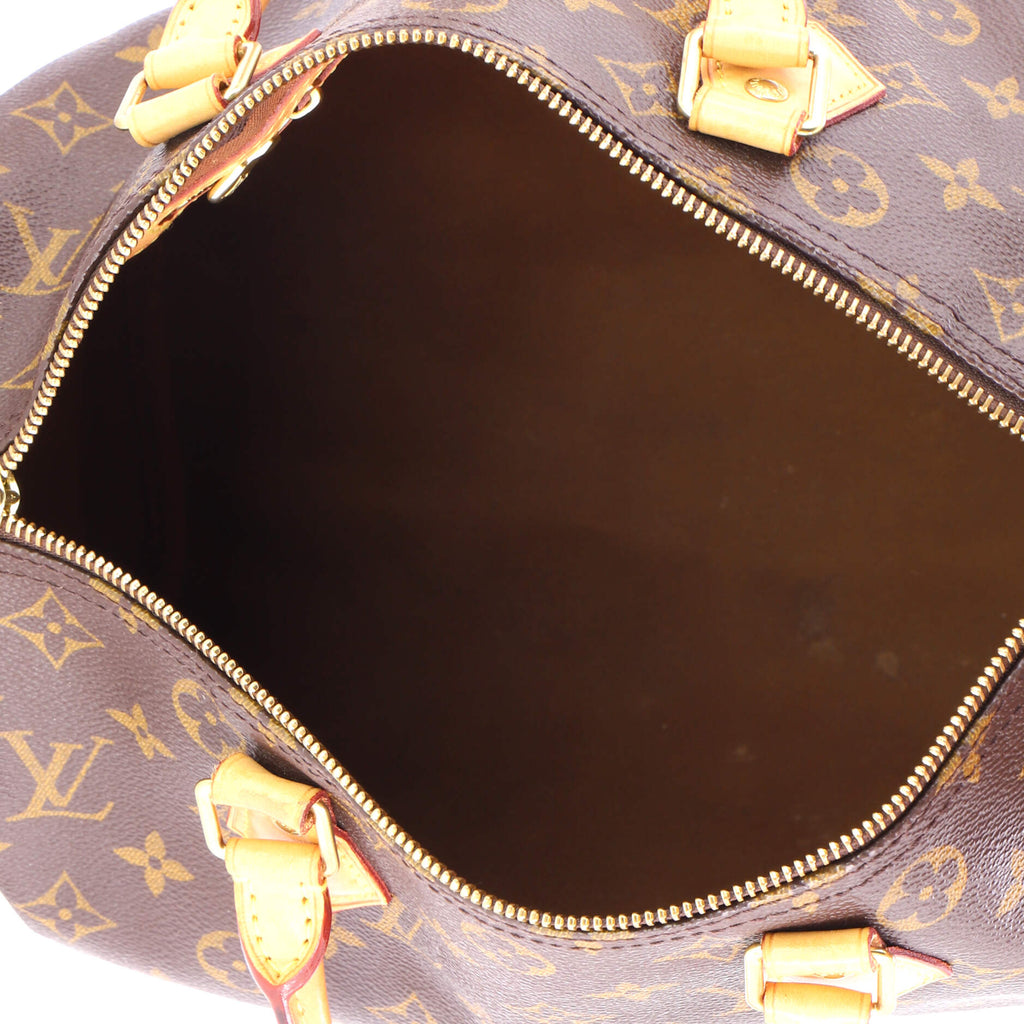 Speedy Handbag Monogram Canvas 30