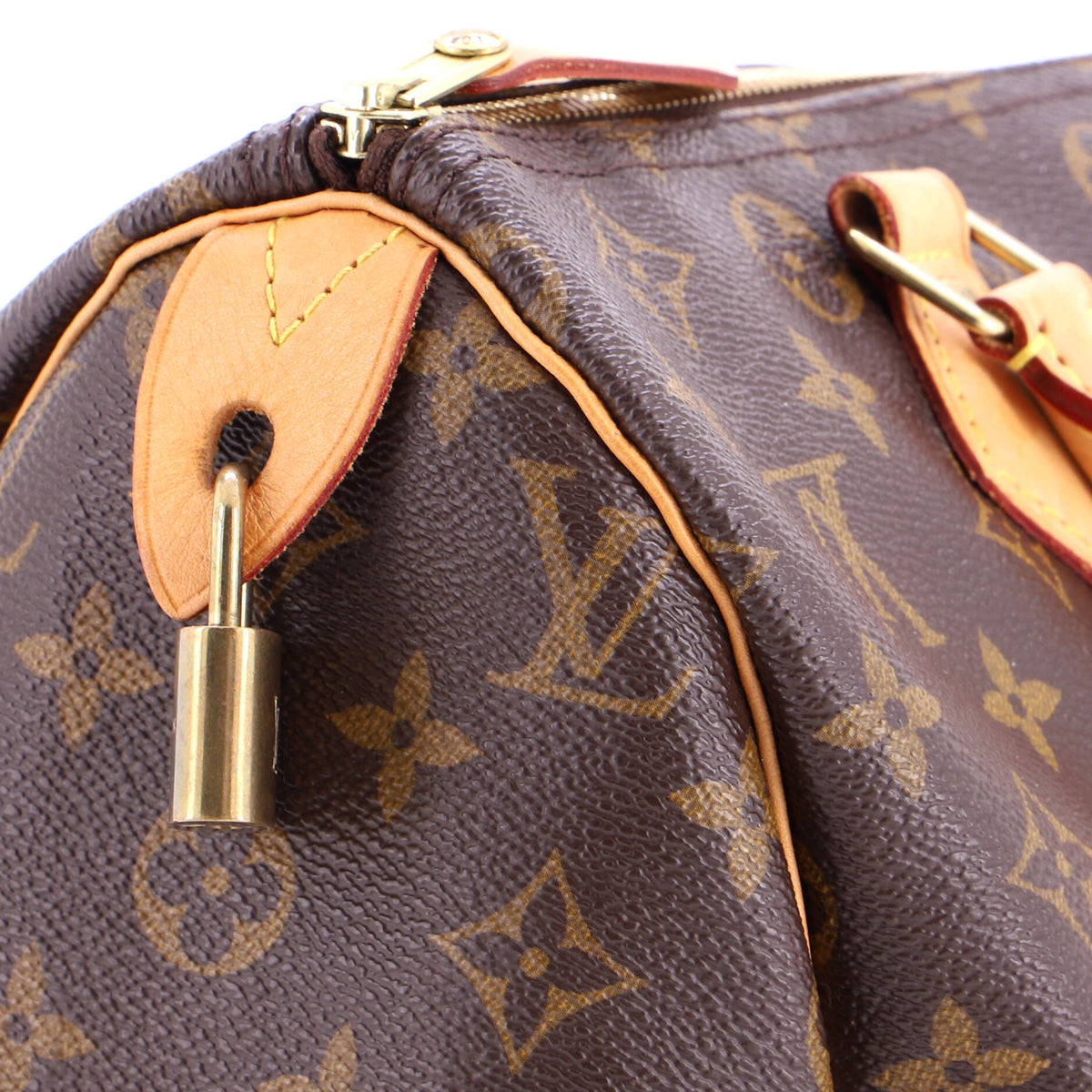 Speedy Handbag Monogram Canvas 30