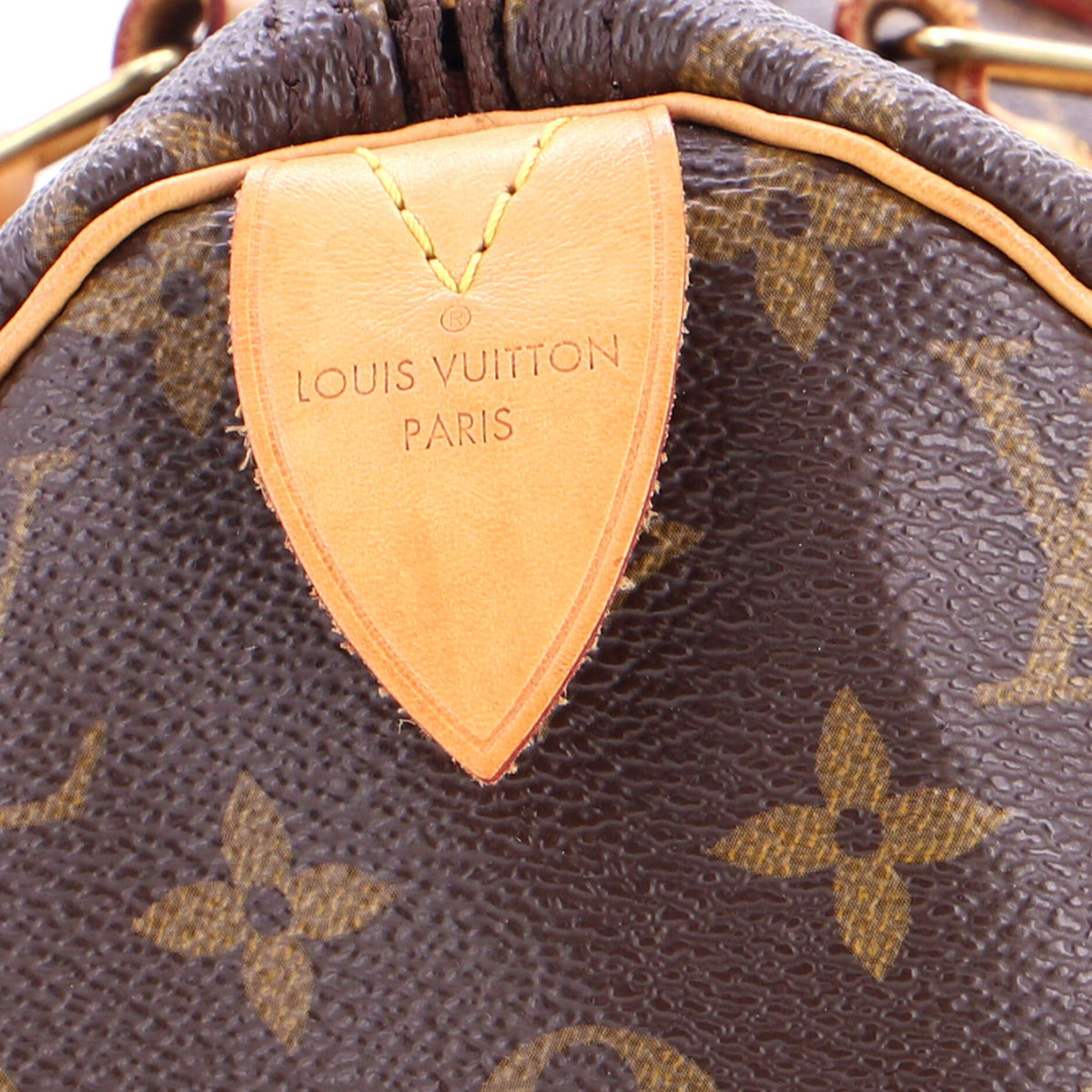 Speedy Handbag Monogram Canvas 30