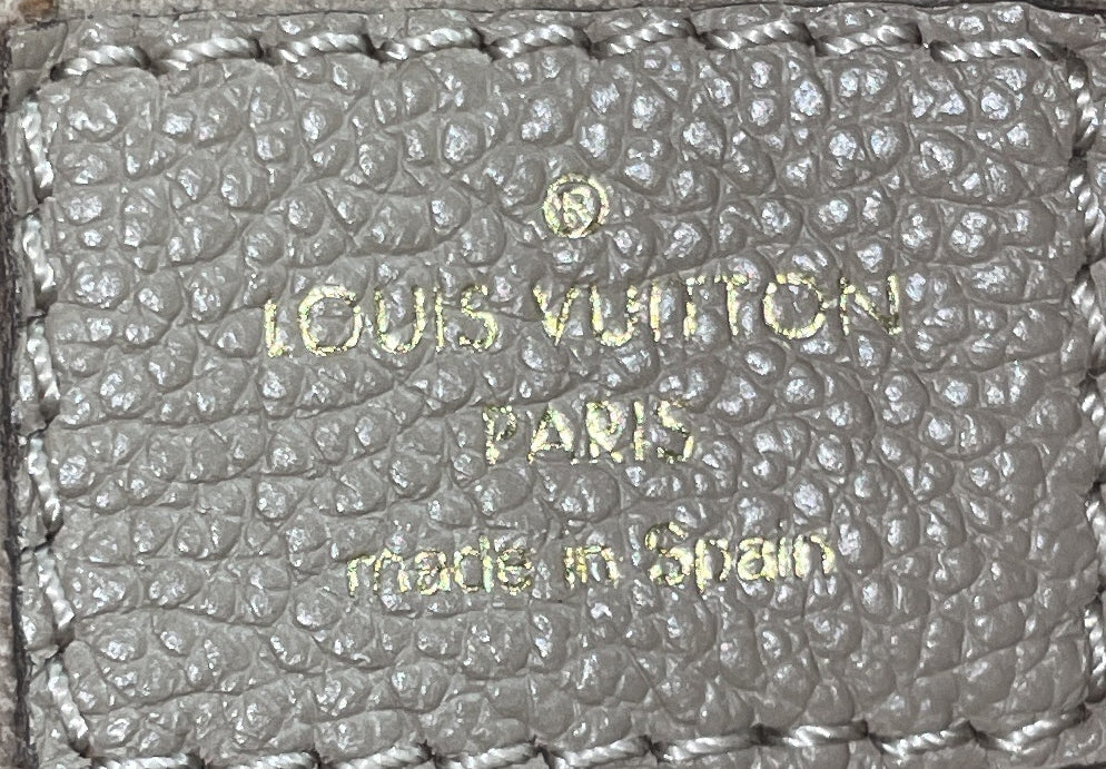 Petit Palais Handbag Bicolor Monogram Empreinte Giant