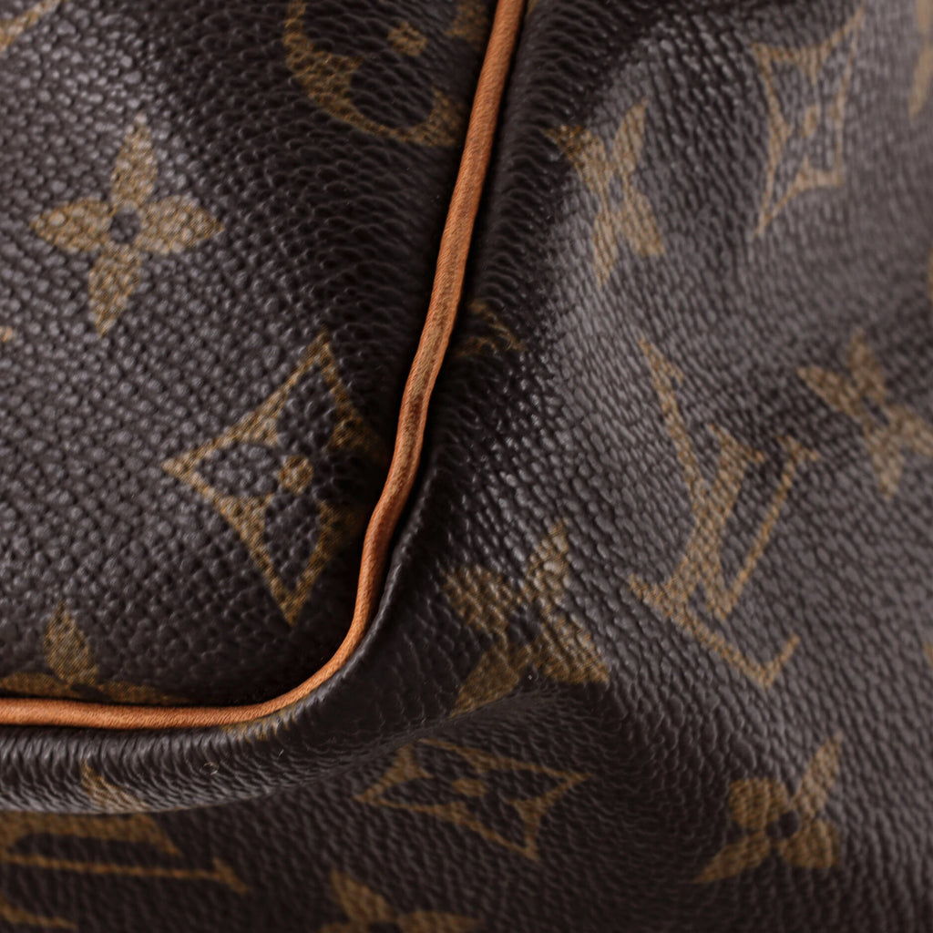 Speedy Handbag Monogram Canvas 30