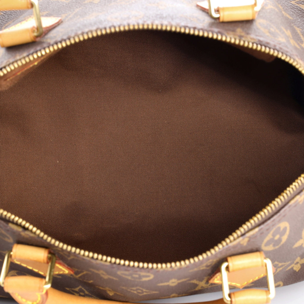 Speedy Handbag Monogram Canvas 30