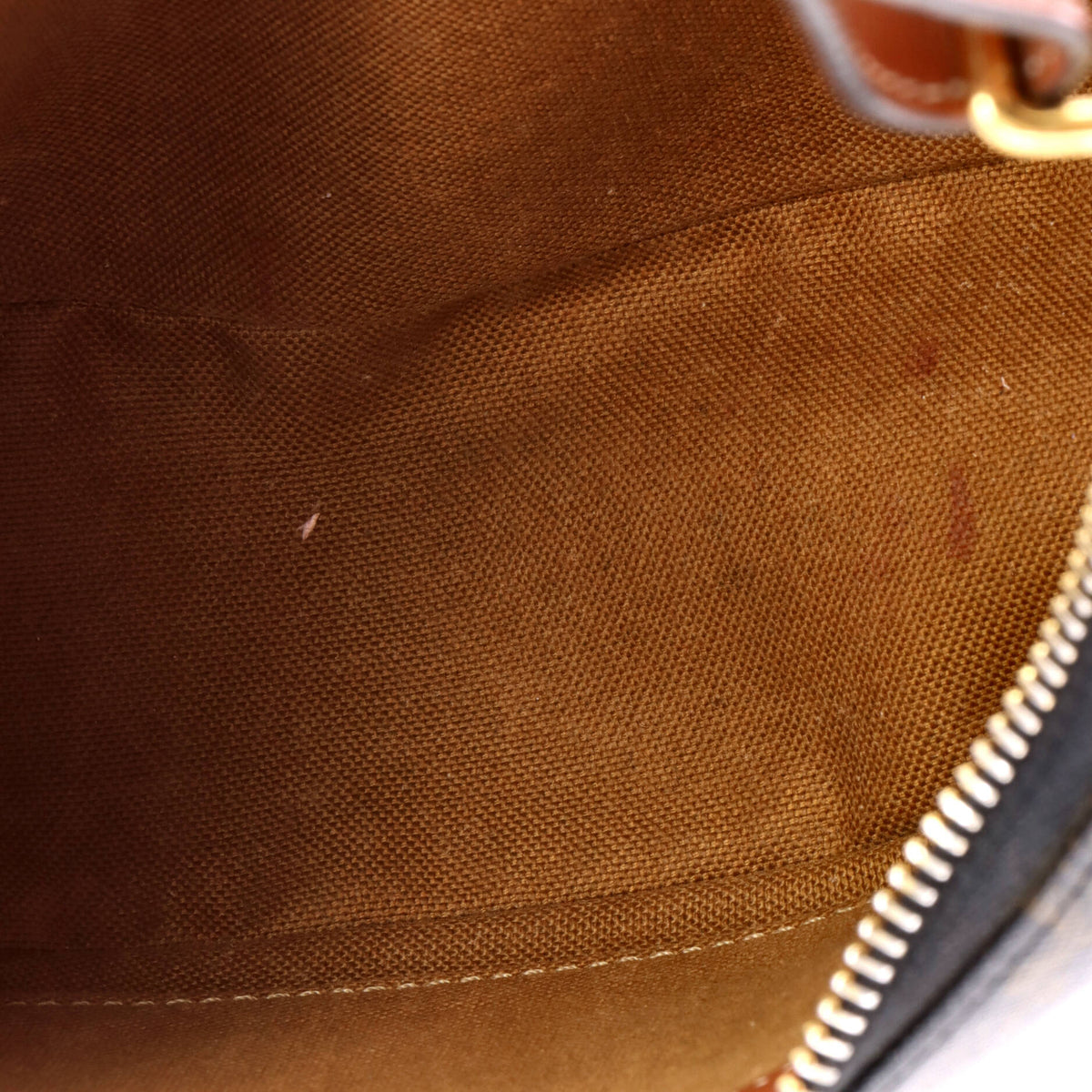 Ava Bag Triomphe Coated Canvas
