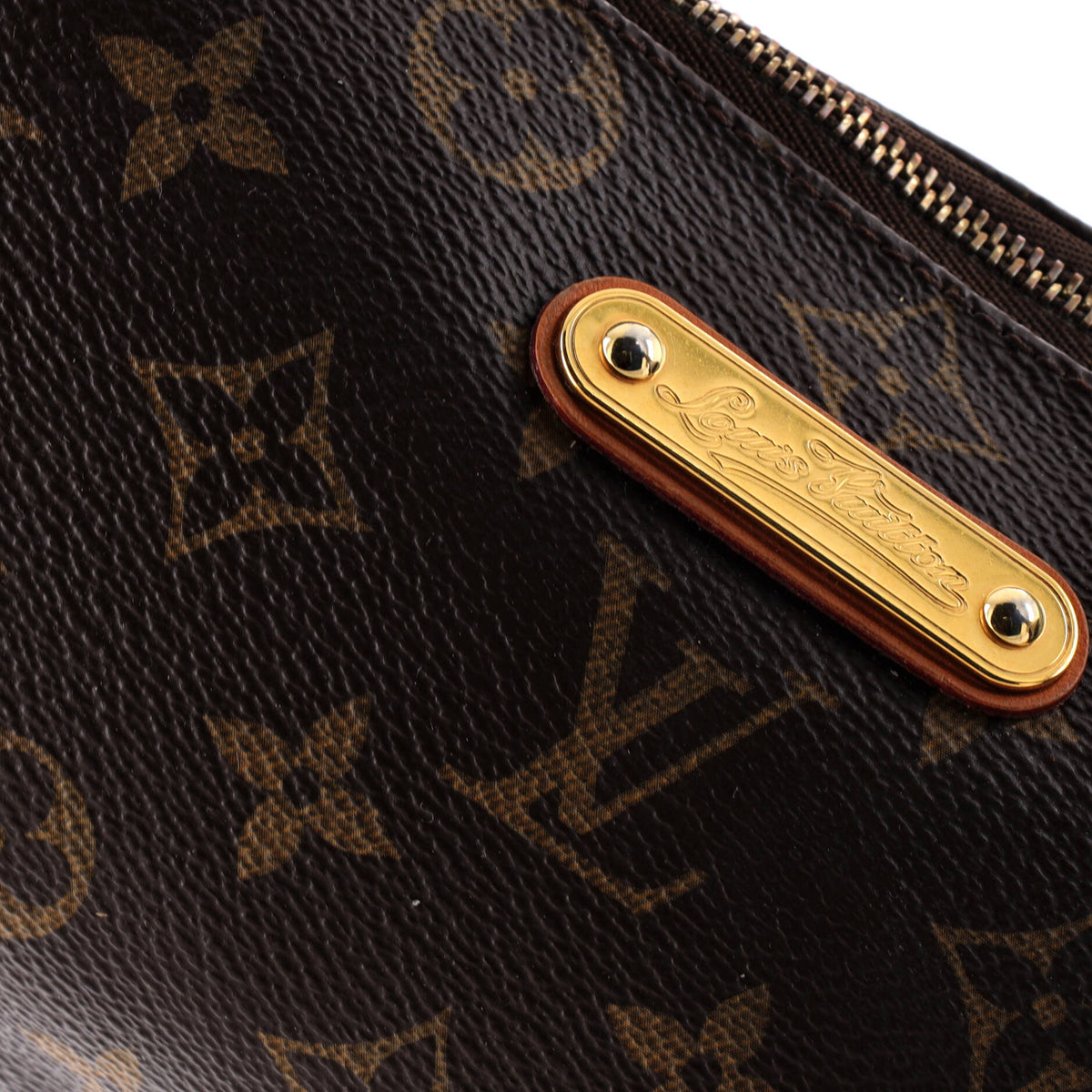 Eva Handbag Monogram Canvas