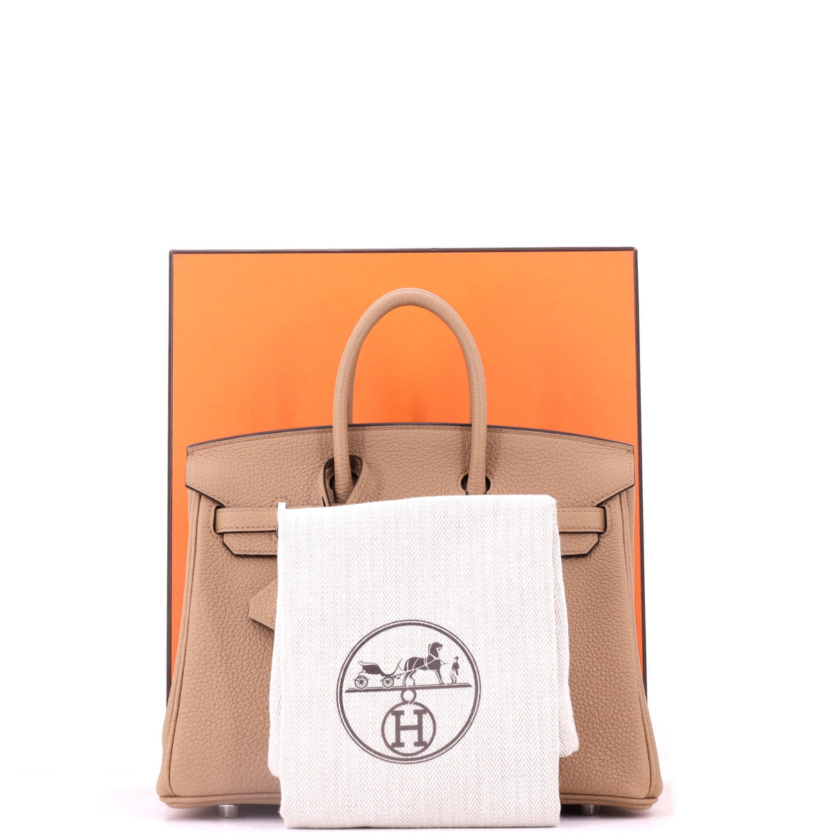 Birkin Handbag Chai Togo with Palladium Hardware 25