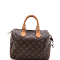 Speedy Handbag Monogram Canvas 25