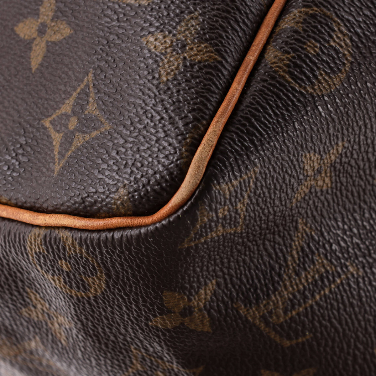 Speedy Handbag Monogram Canvas 25