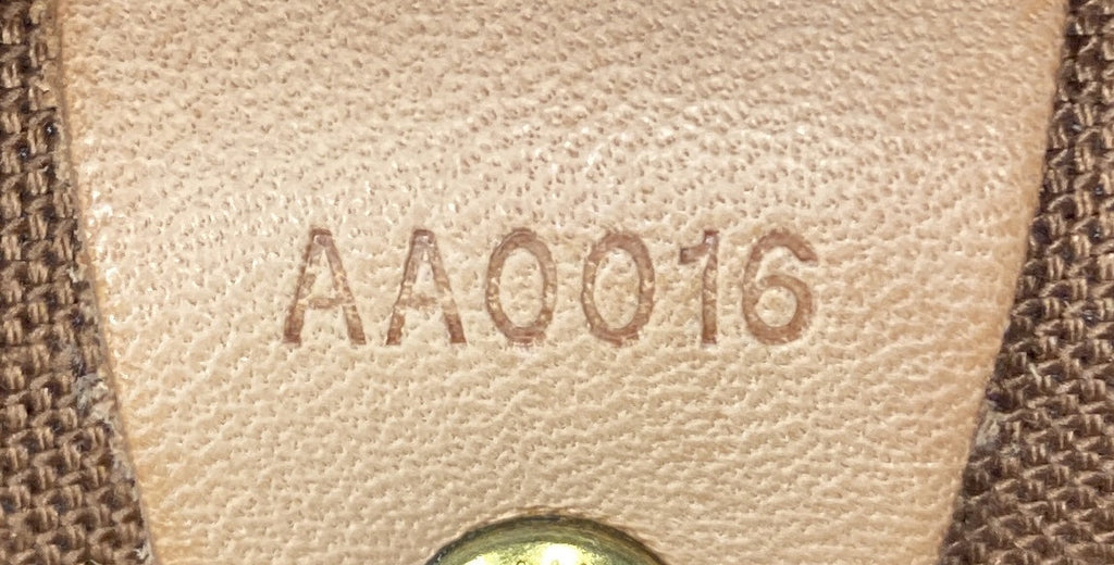 Speedy Handbag Monogram Canvas 30