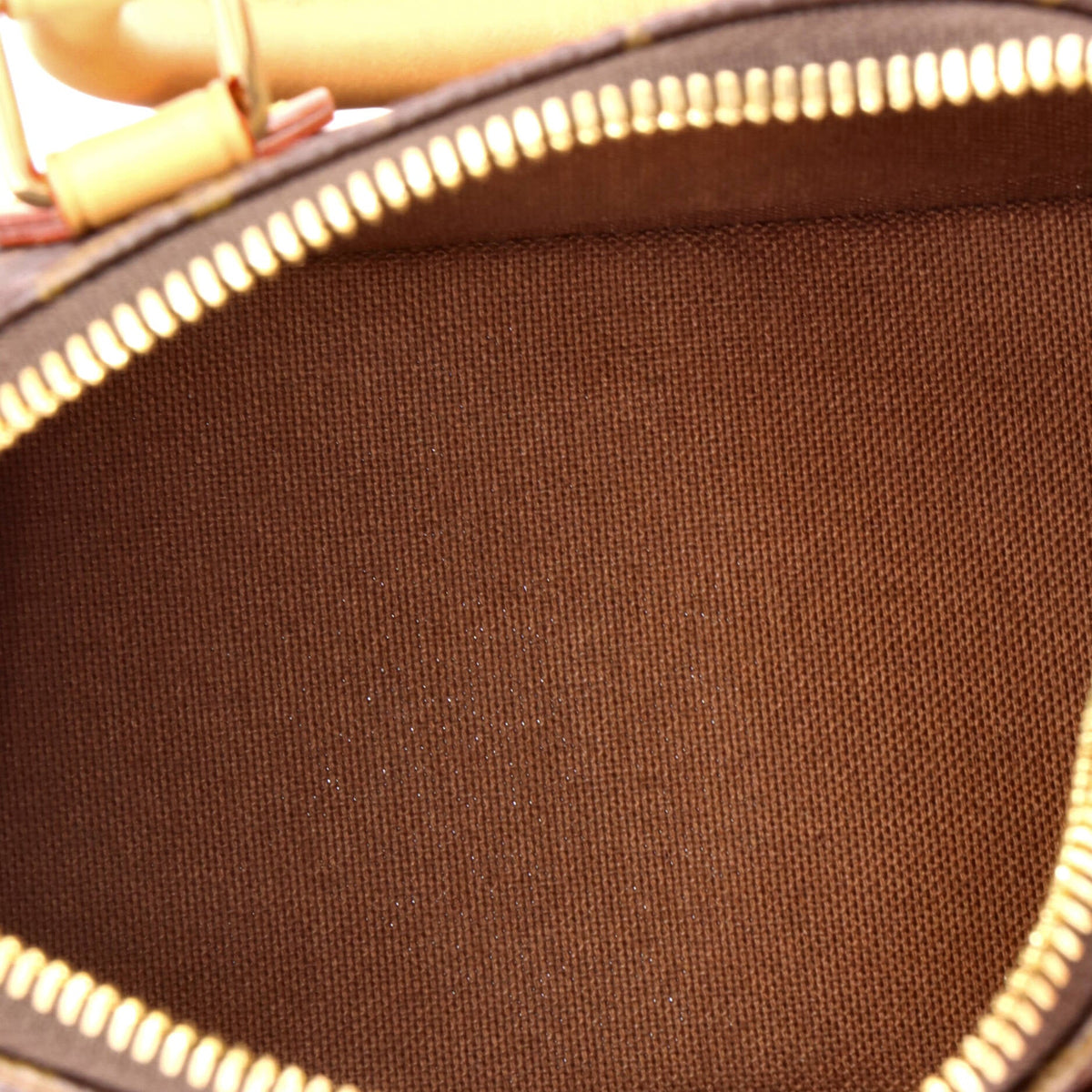 Alma Handbag Monogram Canvas Nano