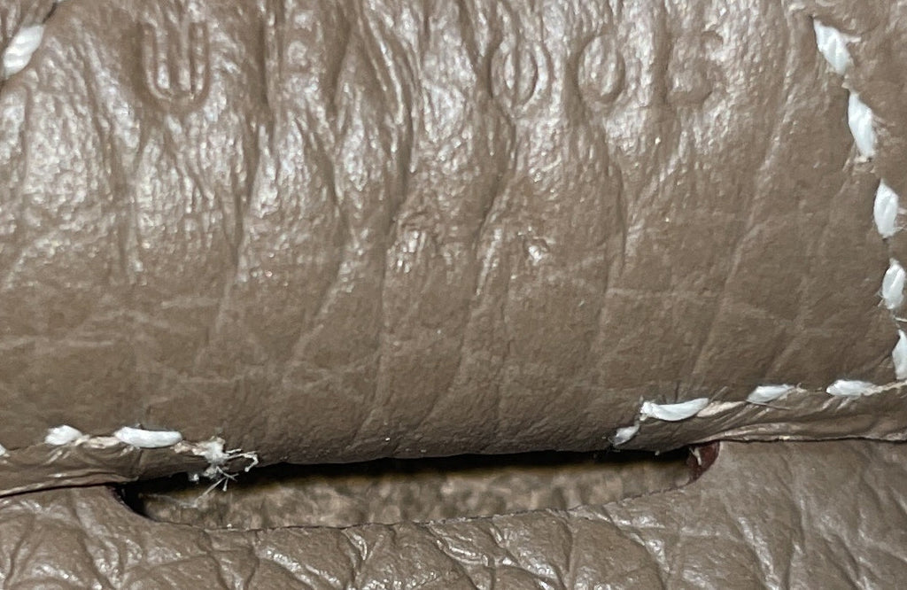 Evelyne Bag Gen III Epsom PM