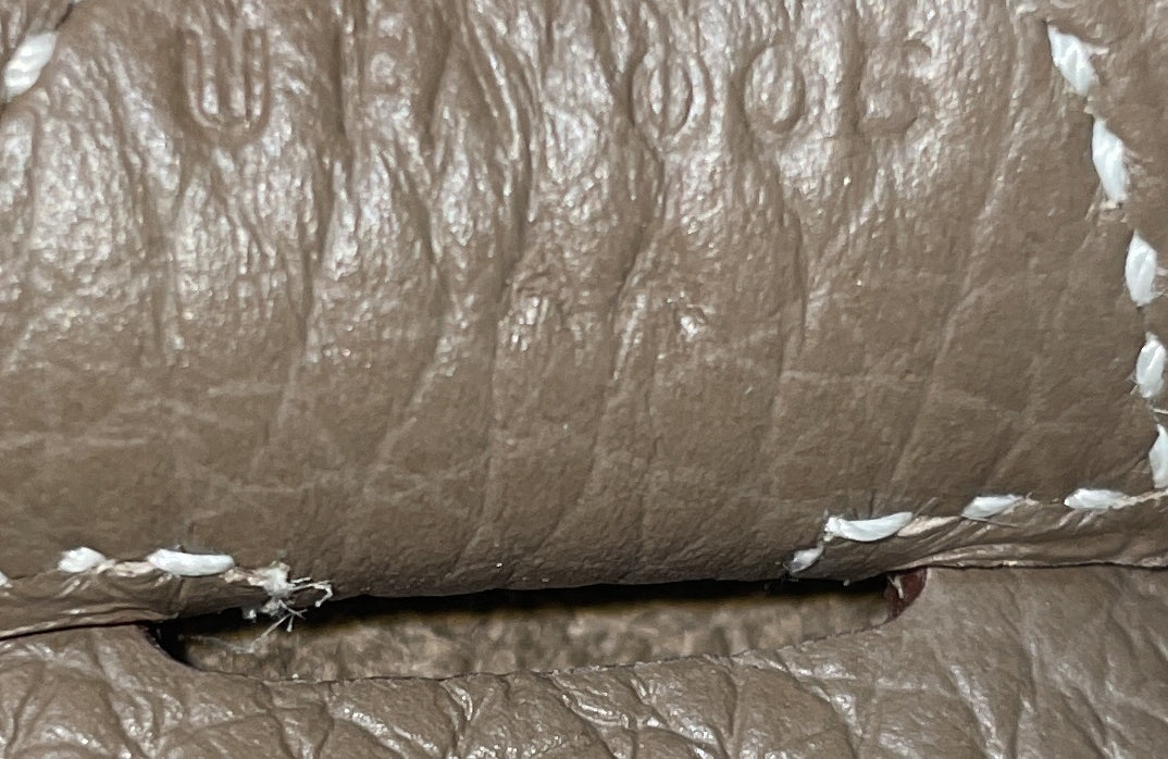 Evelyne Bag Gen III Epsom PM