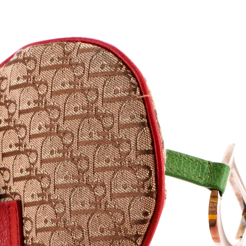 Vintage Rasta Saddle Waist Bag Diorissimo Canvas