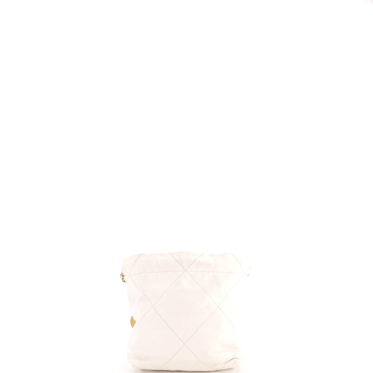22 Chain Hobo Quilted Calfskin Mini