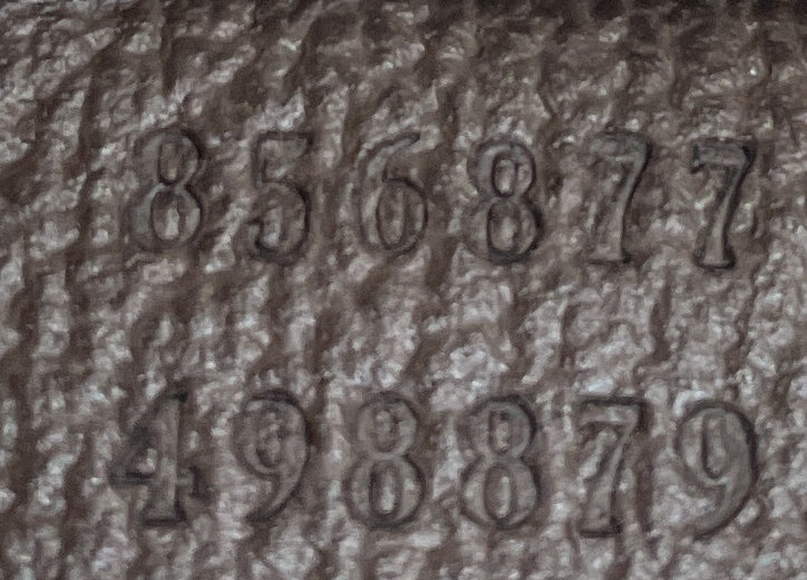 GG Open Tote GG Camouflage Coated Canvas Large