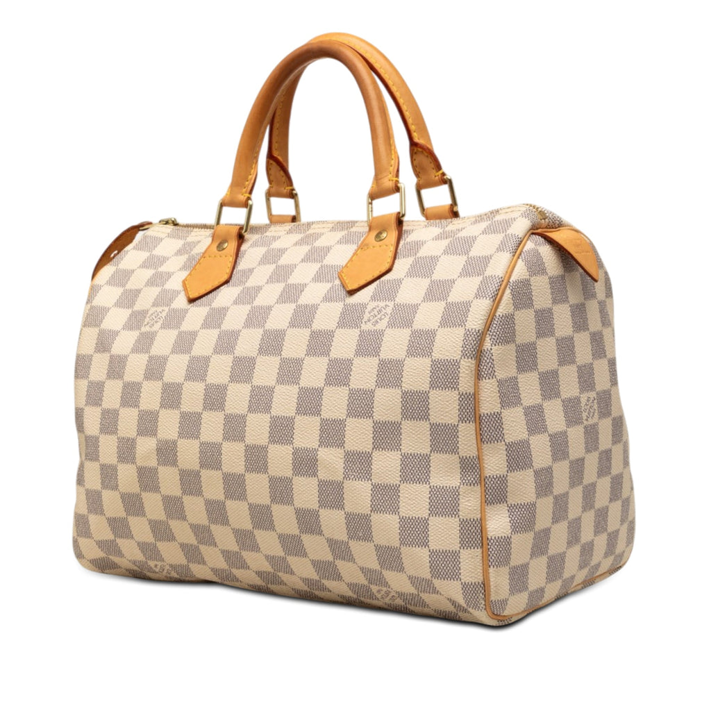 Speedy Handbag Damier 30