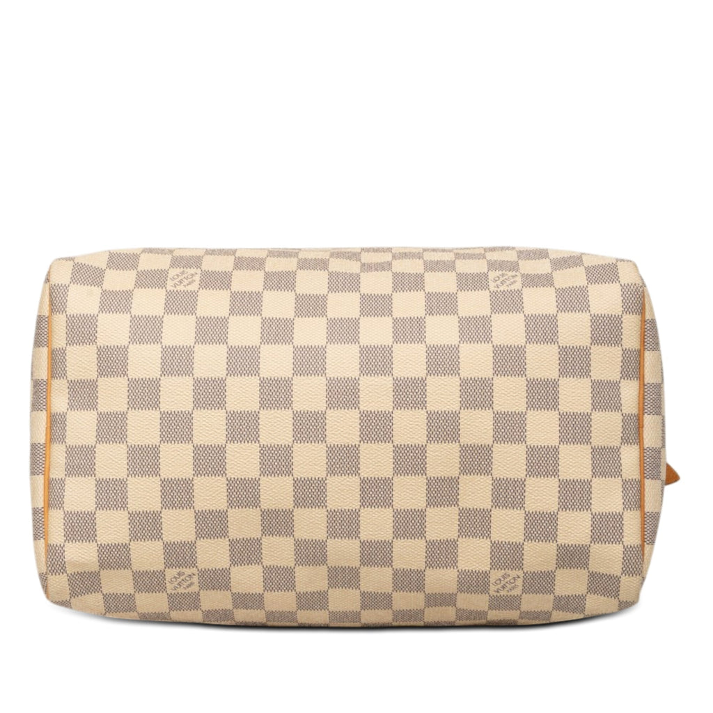 Speedy Handbag Damier 30
