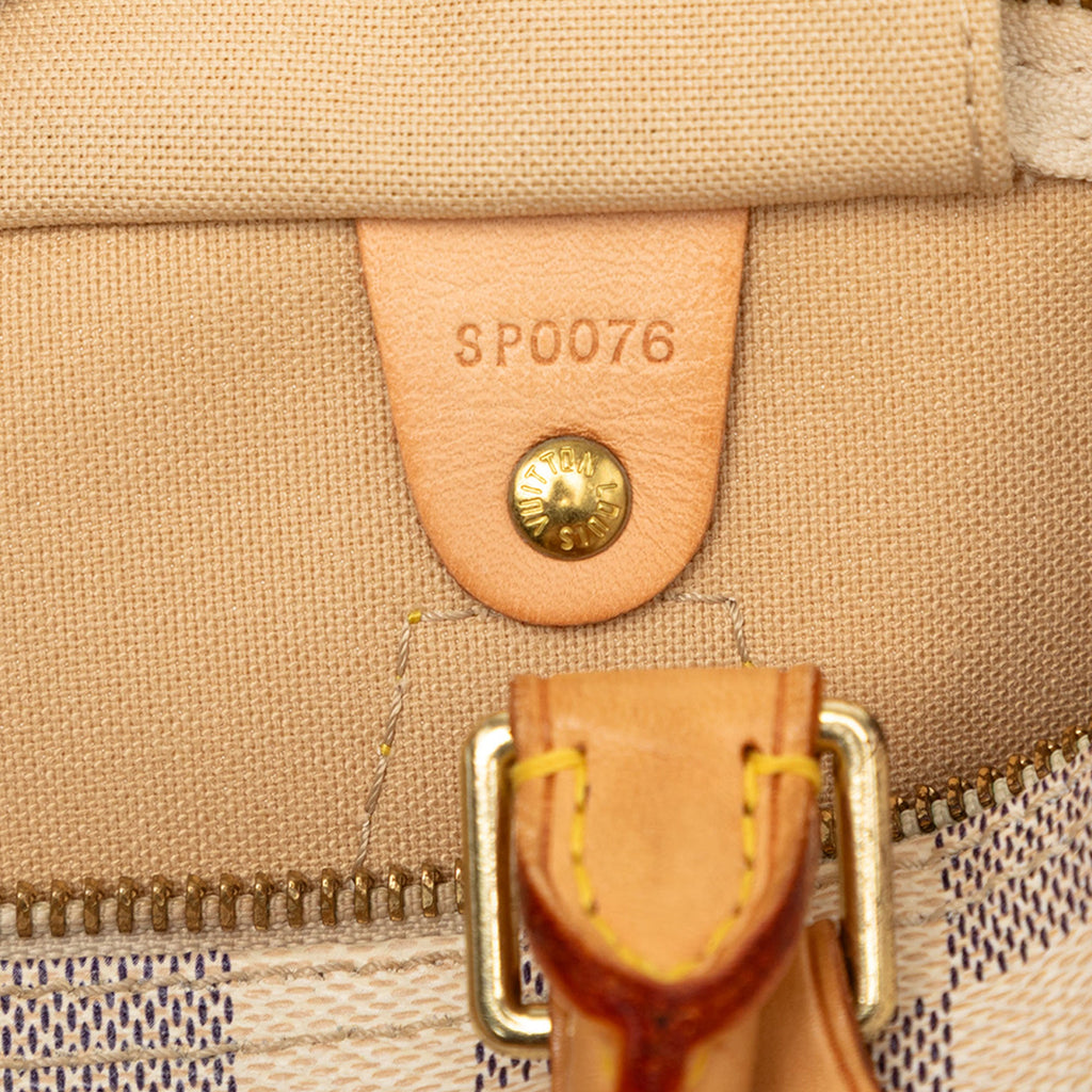 Speedy Handbag Damier 30