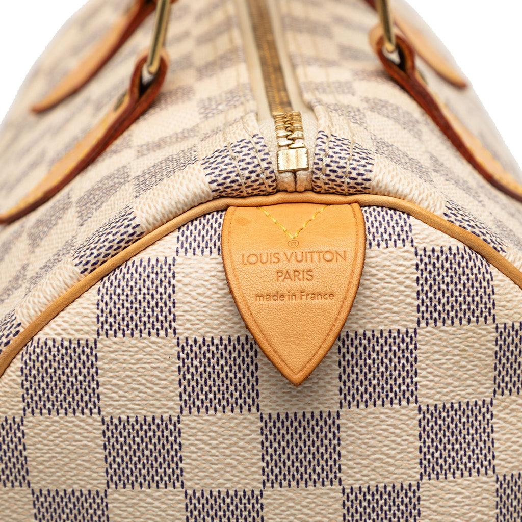 Speedy Handbag Damier 30