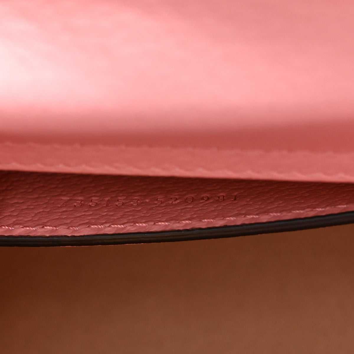 Textured Dollar Calfskin Web Small Diana Shoulder Bag Wild Rose Black