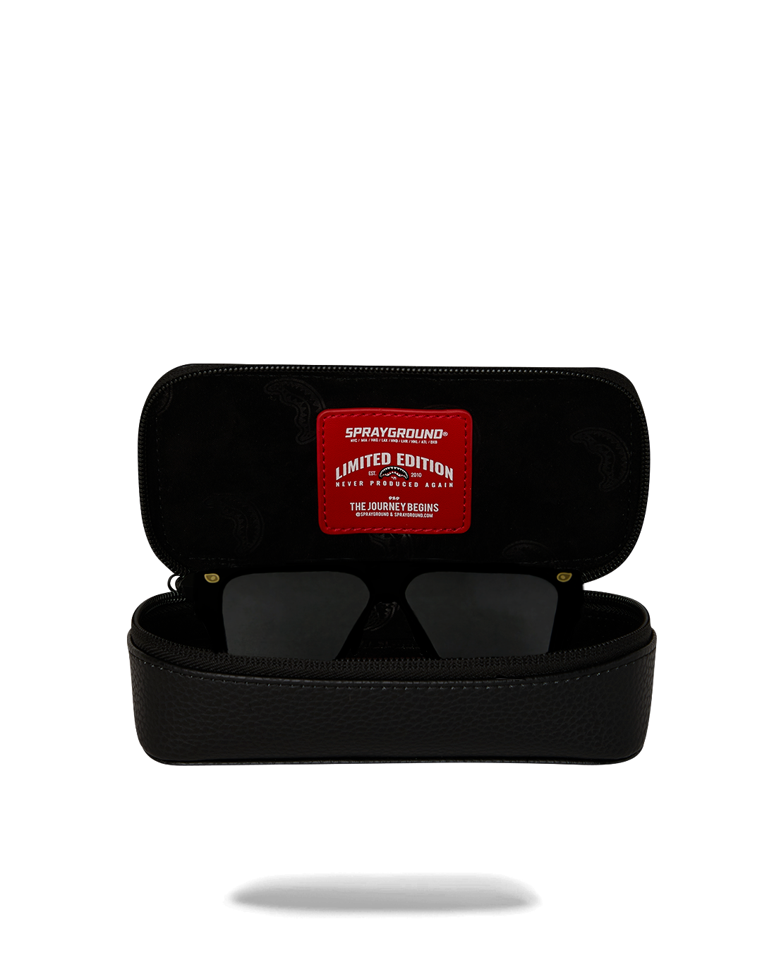 AMERICAN AIRLINES MAXIMUM ALTITUDE AVIATOR CASE