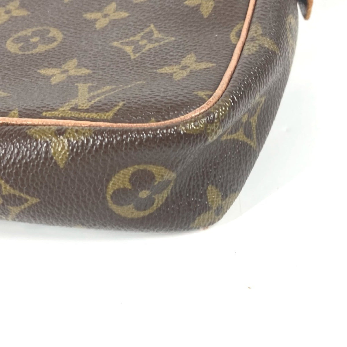 Amazone Bag Monogram Canvas