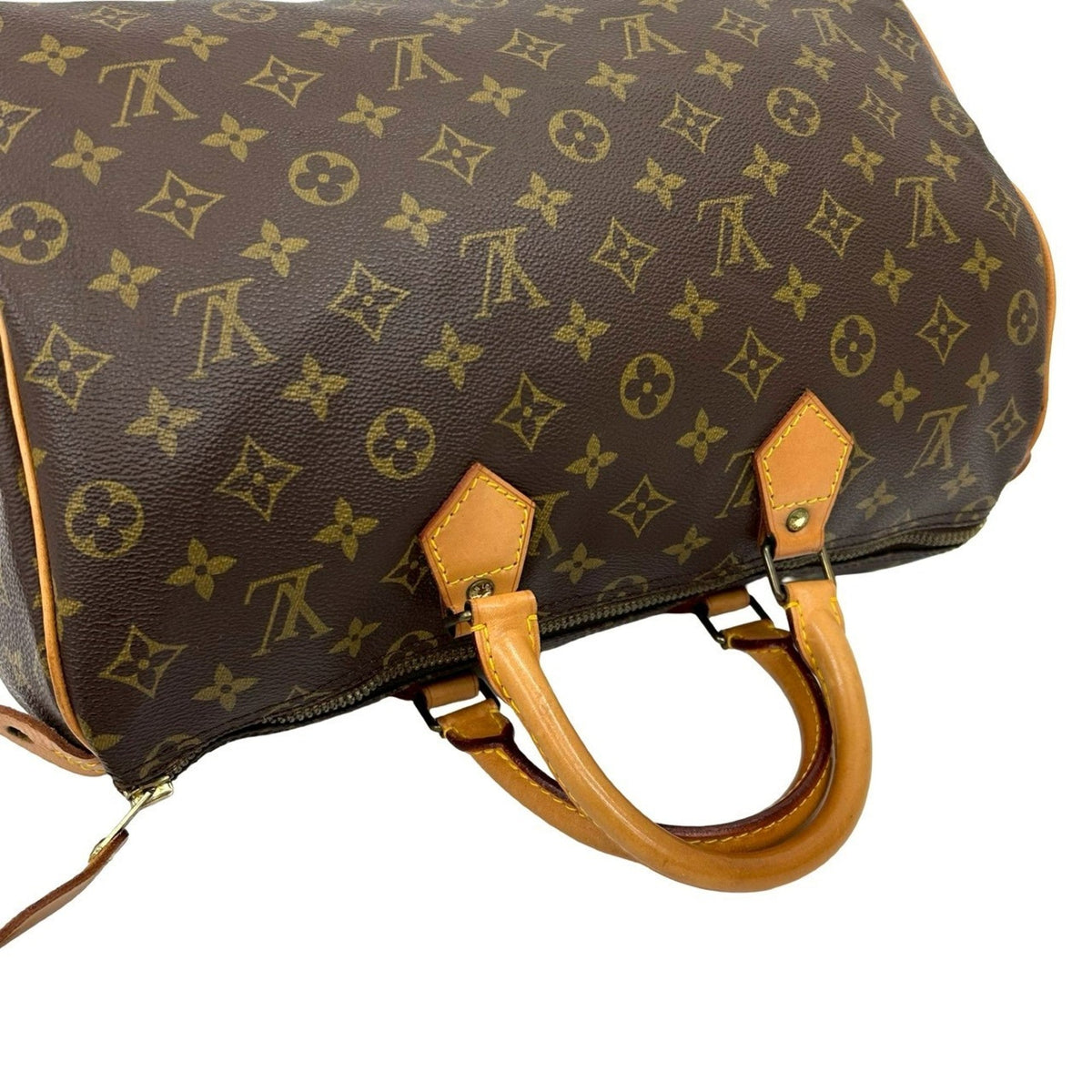 Speedy Handbag Monogram Canvas 30