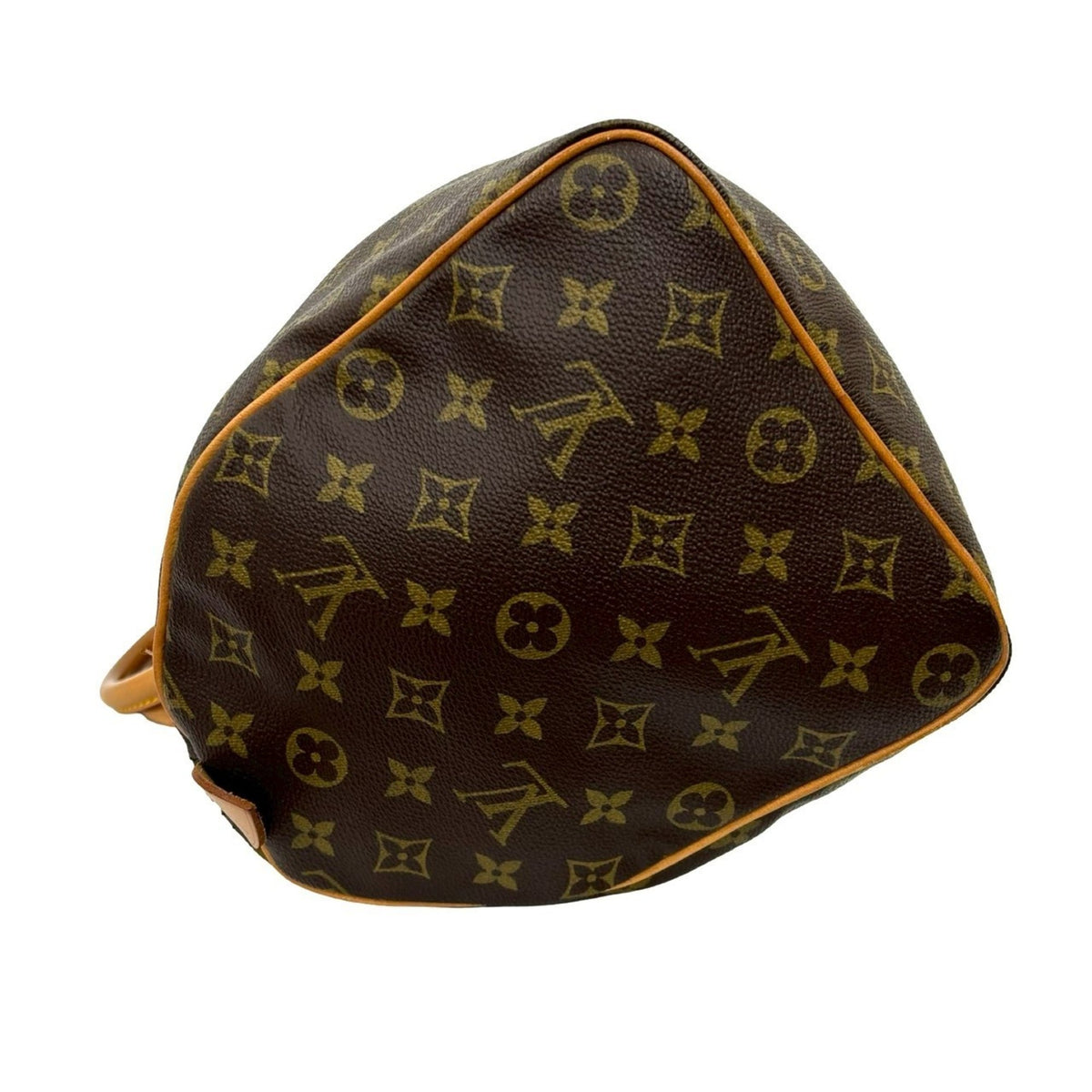 Speedy Handbag Monogram Canvas 30