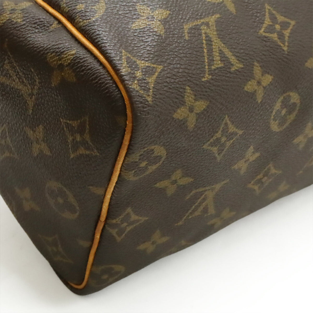 Speedy Handbag Monogram Canvas 25