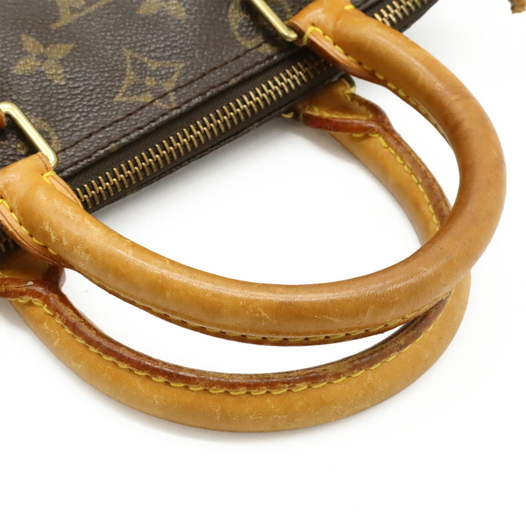 Speedy Handbag Monogram Canvas 25