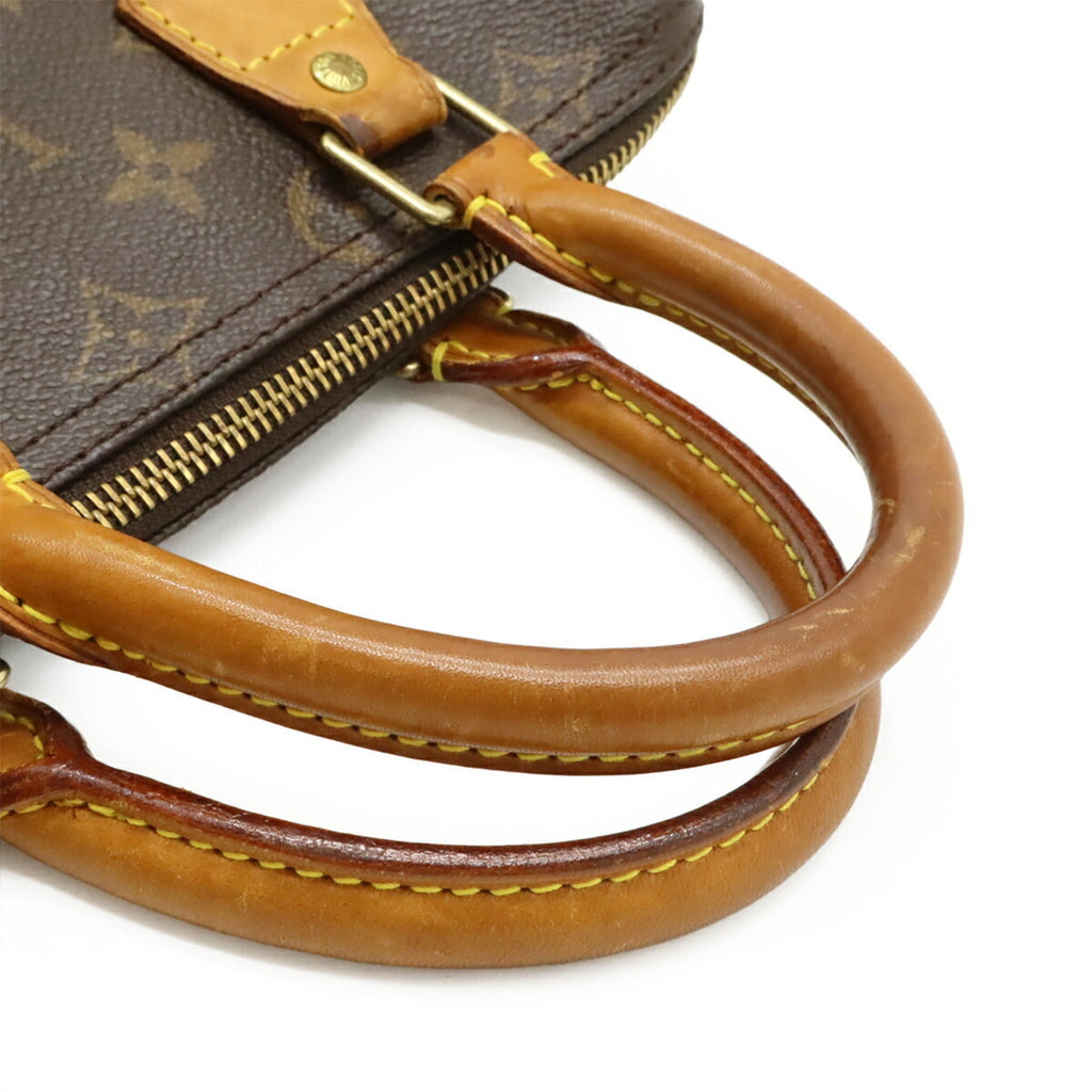 Speedy Handbag Monogram Canvas 25