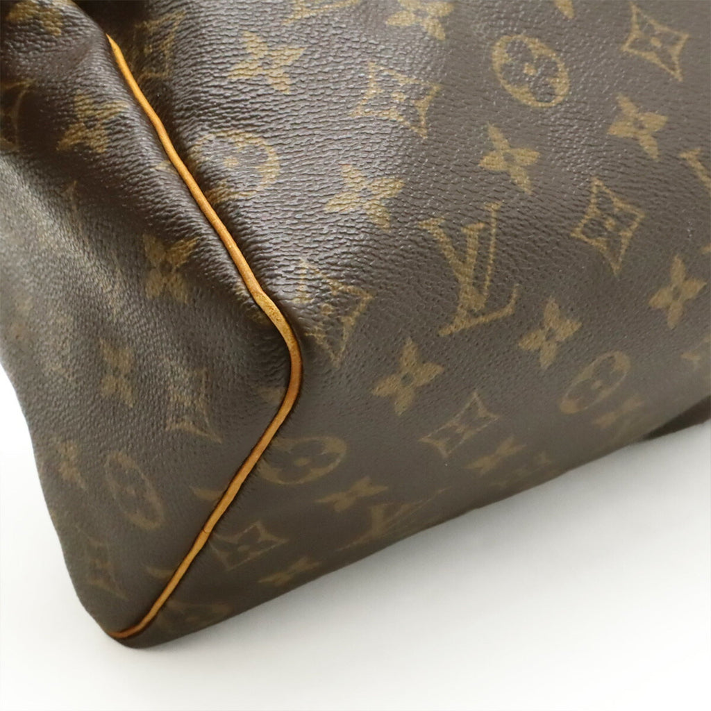 Speedy Handbag Monogram Canvas 25