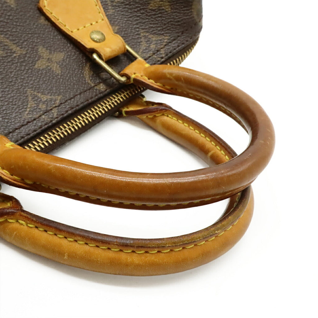 Speedy Handbag Monogram Canvas 25
