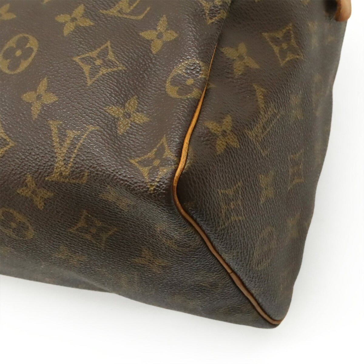 Speedy Handbag Monogram Canvas 25