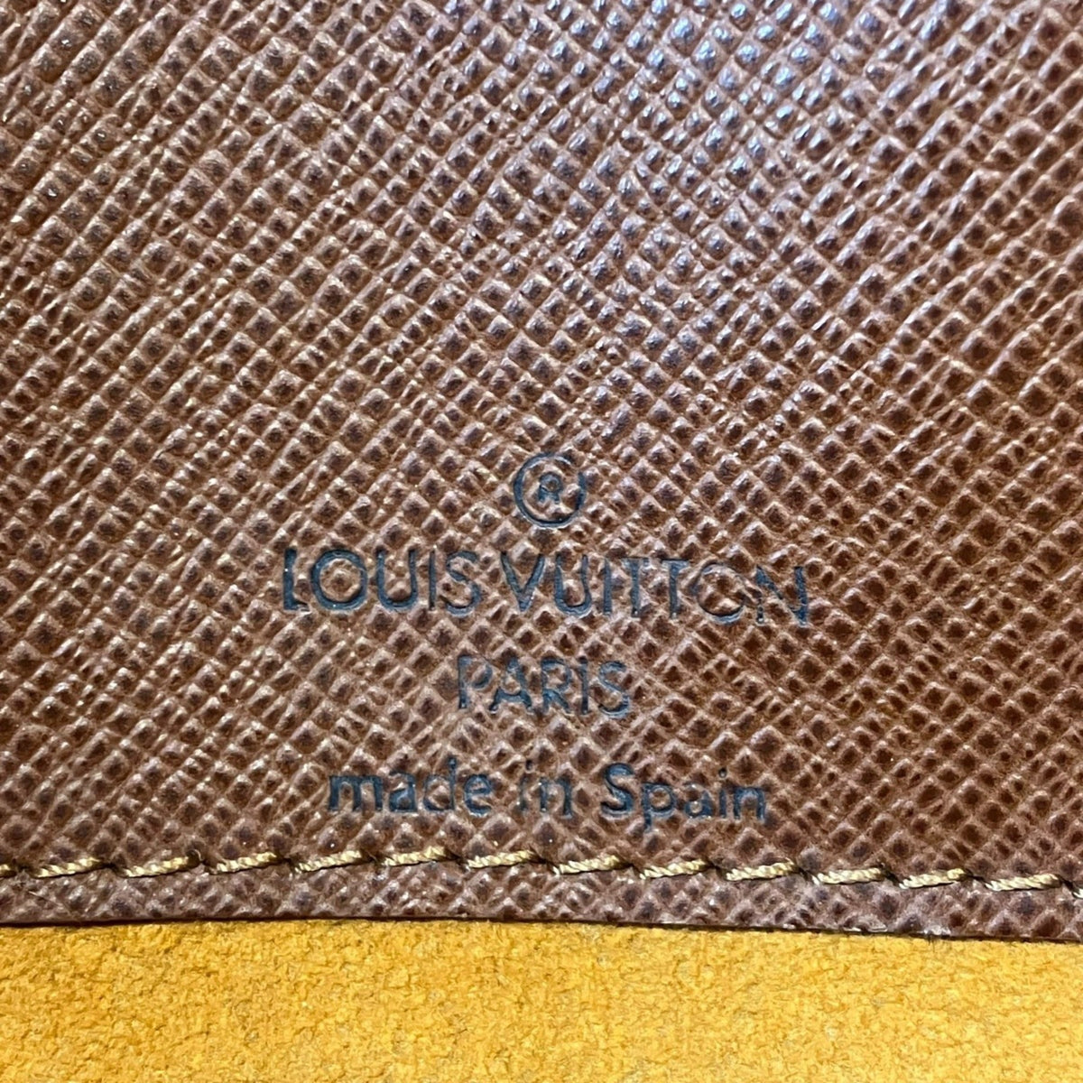 Musette Salsa Handbag Monogram Canvas PM