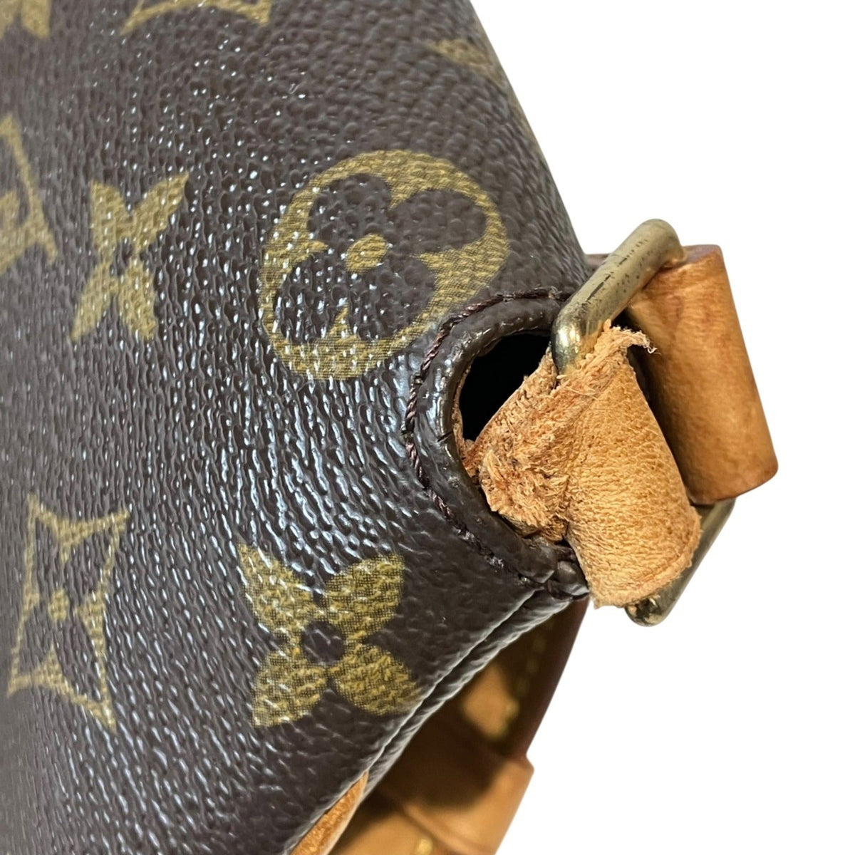 Musette Salsa Handbag Monogram Canvas PM